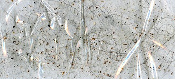 Jackson Pollock garbage edition 1.