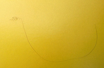 Accidentally abused hair accidentally becomes an artwork 1.