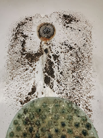 The one-eyed raw sewage Goddess standing on the top of the bathtub-world and proudly spreading her wisdom.