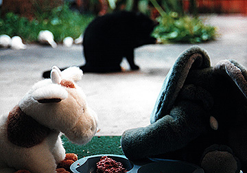 The food challenge 2 (1999).