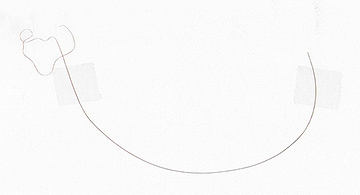 The accidental sculpture. (2013)