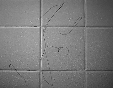 Climbing the vertical line.