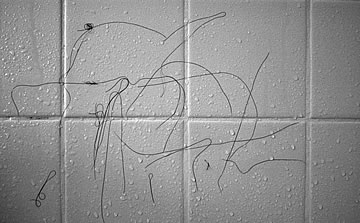 What are we all doing guys?