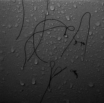 Dead body sinking in deep waters.