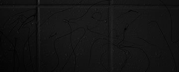 Fish waiting for kiss in murk waters.