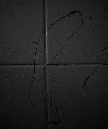 Midnight Sperm whale.