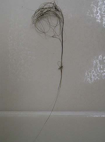 A balloon flying up.