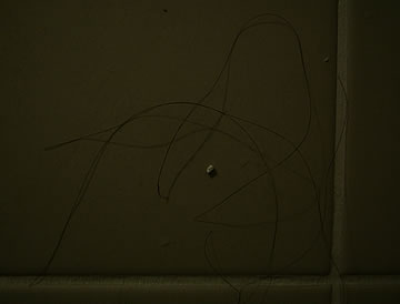 Let me hold my white ball and I may fall asleep faster.